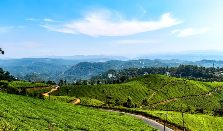 God's Own Country Kerala