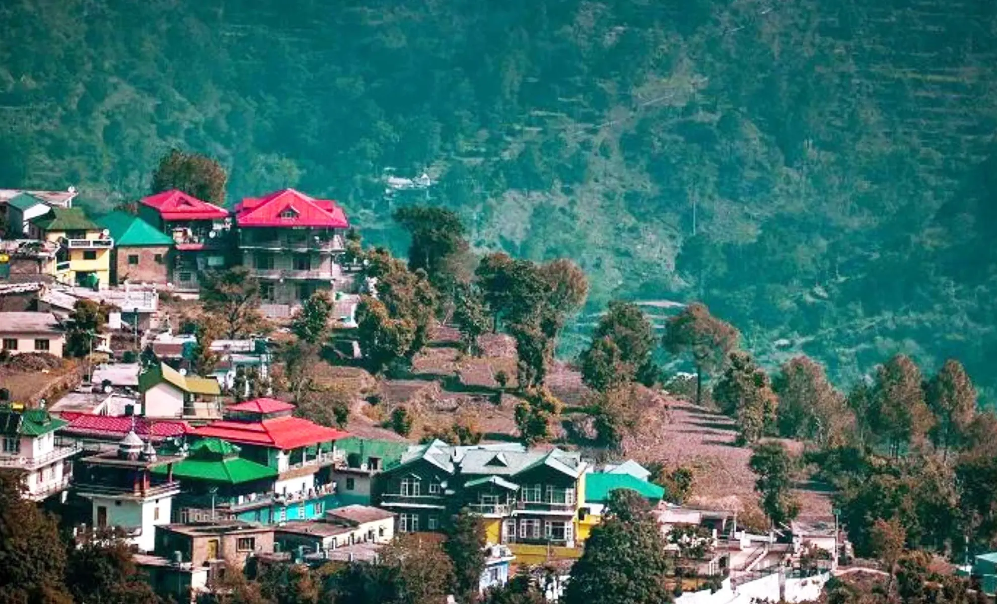 shimla-kufri-chail-narkanda-kasauli-tour-package