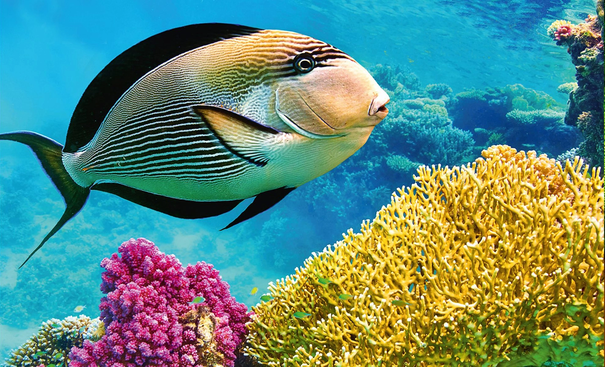 Andaman