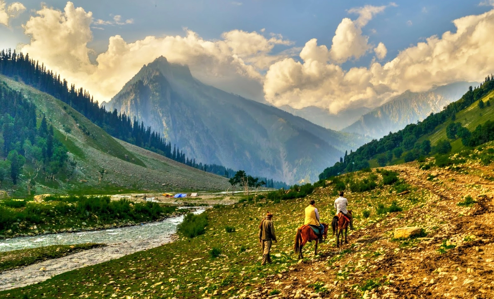 ExoticKashmir
