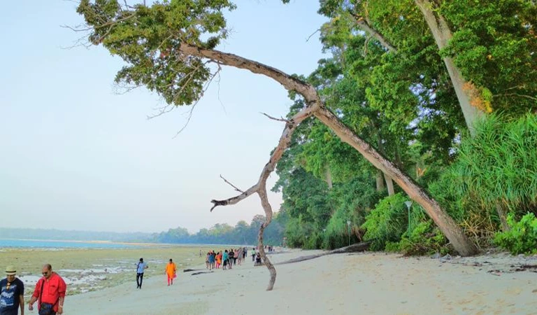 Laxmanpur Beach