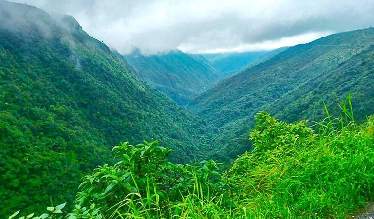 green valley
