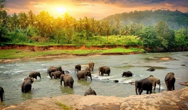Thekkady