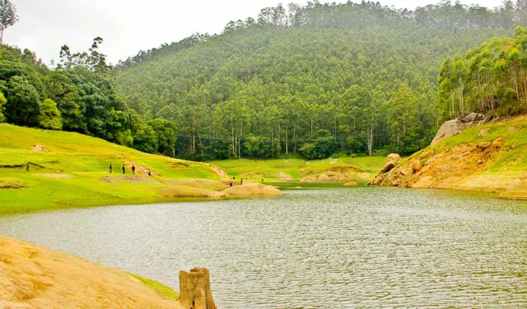 Echo Point Munnar