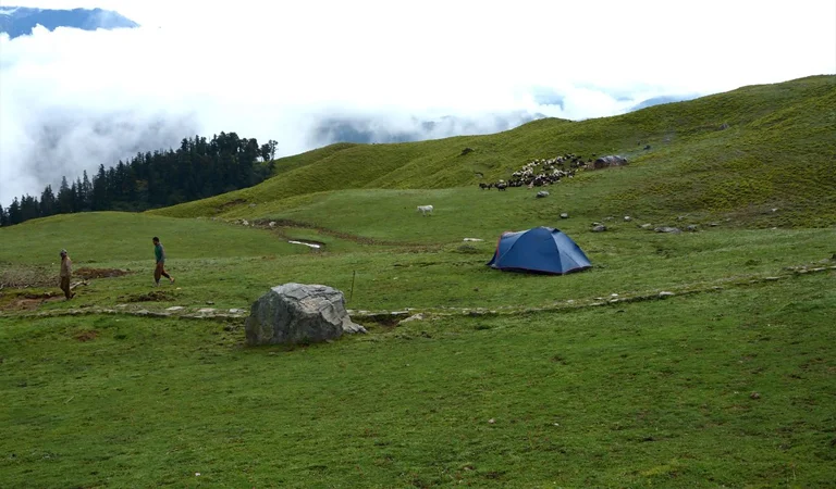 Panar Bugyal